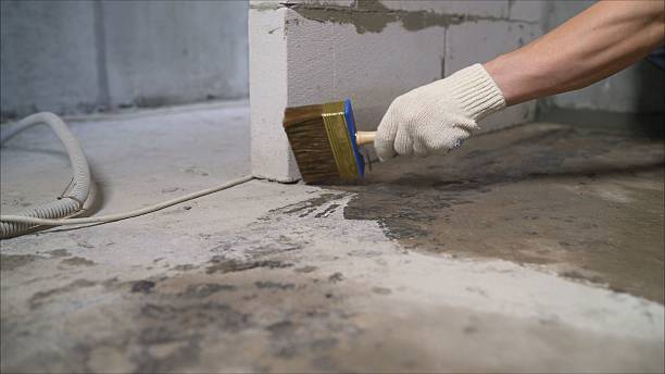 Top rated local Waterproofing specialists in Unionville, VA